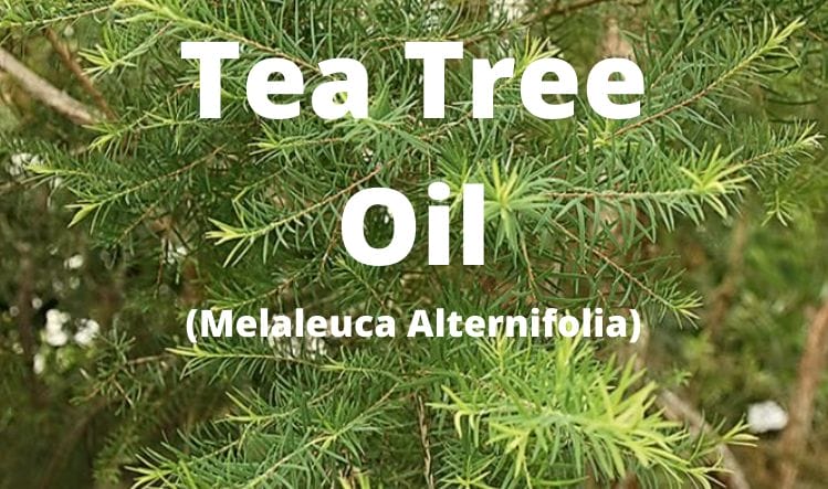 Which foundation formula is right for your skin?